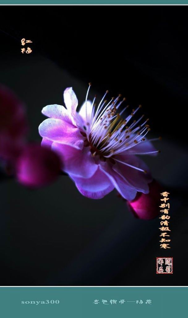 博士和硕士论文评价的区别:beat·365(图1) beat365亚洲体育官方网站