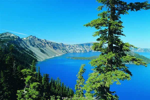 beat·365_
论文提纲查重吗 哪些部门容易被查重？(图2)