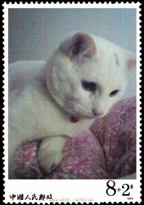 beat·365:
六十甲子与音律对应关系(破解《客师万言歌》(图1) beat365亚洲体育官方网站