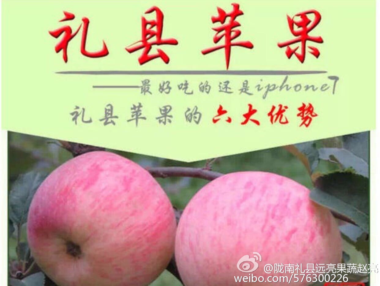 论消费者心理效应对品牌延伸的作用|beat365官网(图3) beat·365