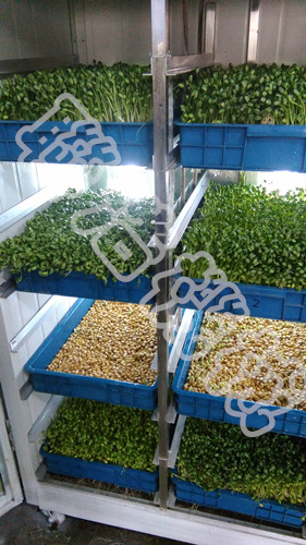 “beat365官网”教你4招如何定位餐厅核心产品(图1) beat·365