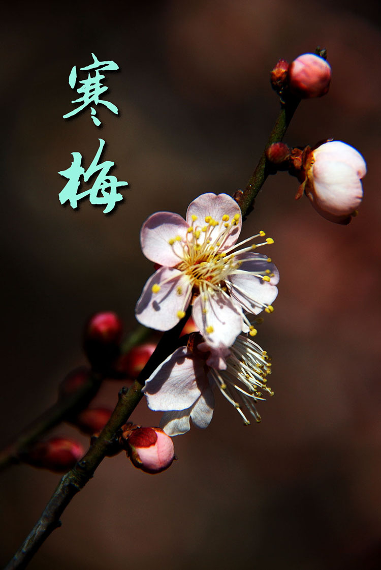 可持续发展战略实施的意义及策略_beat365亚洲体育官方网站(图1) beat·365