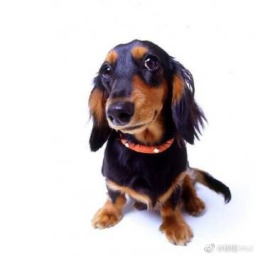 beat365亚洲体育官方网站