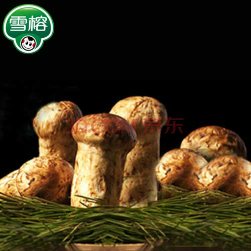 beat365亚洲体育官方网站