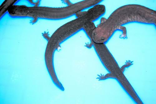 beat365亚洲体育官方网站